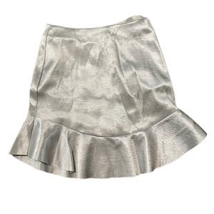 H&M Skirt, Size 6, Silver